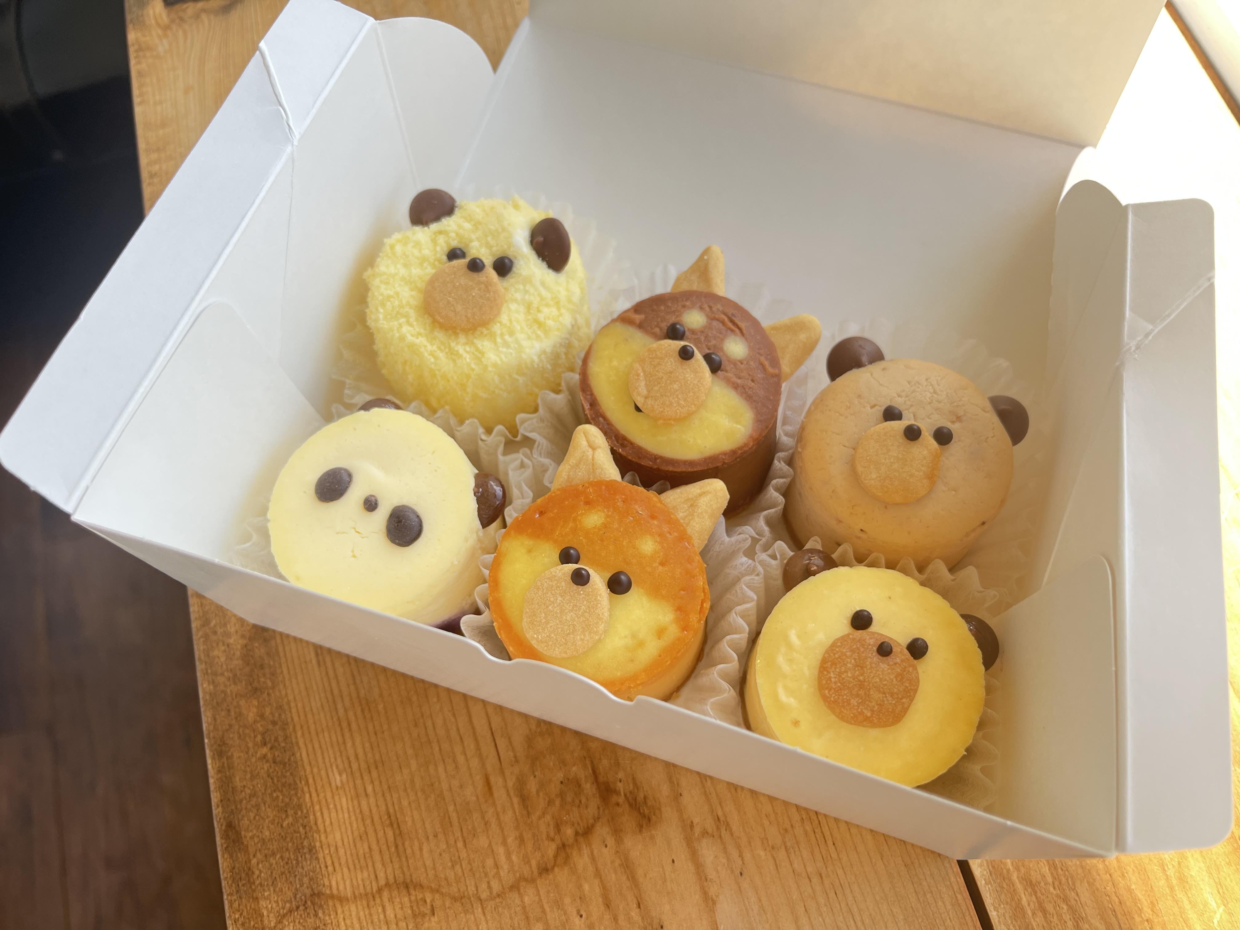 ミモザチーズケーキ