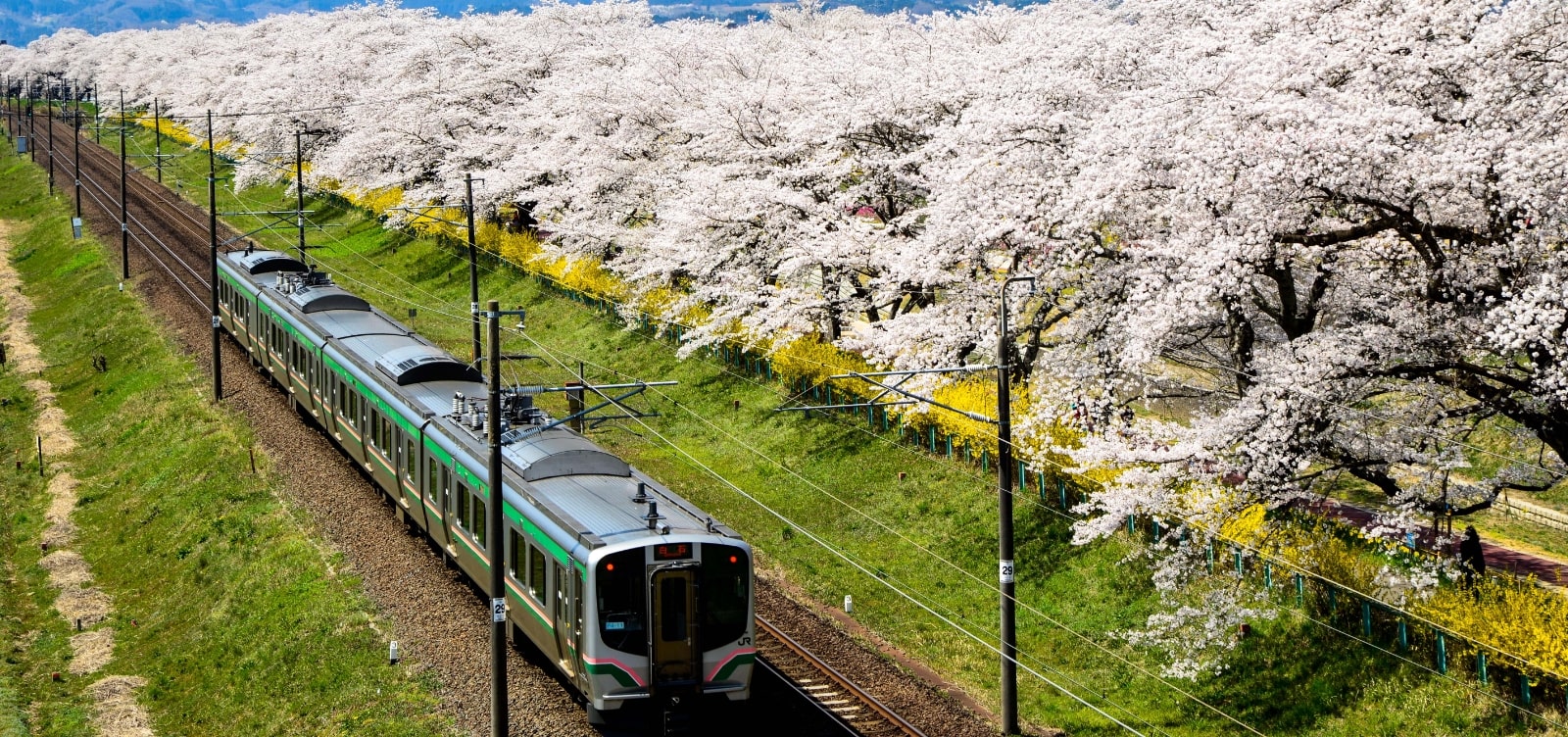 Natori City, Miyagi Prefecture] Tire & Wheel Building Fuji Special