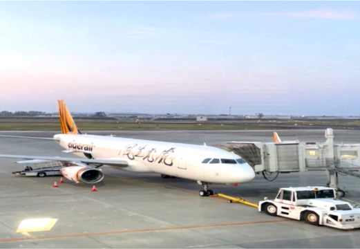 タイガーエア台湾の機体写真
