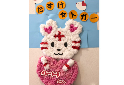 日本赤十字社のイメージ写真